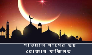 শাওয়াল মাসের ছয় রোজার ফজিলত