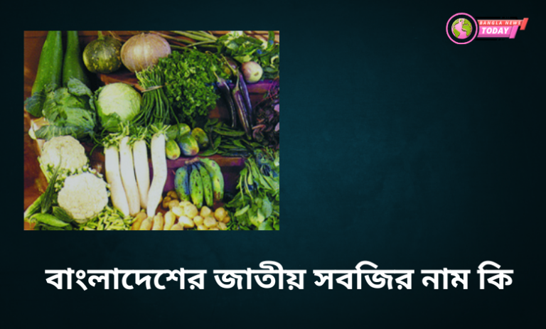 বাংলাদেশের জাতীয় সবজির নাম কি