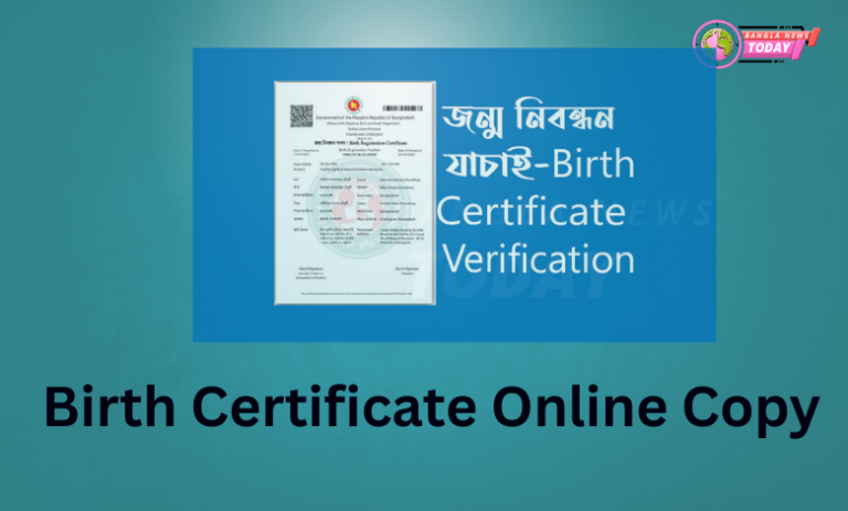 Birth Certificate Online Copy
