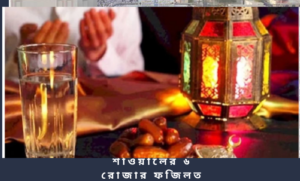 শাওয়ালের ৬ রোজার ফজিলত