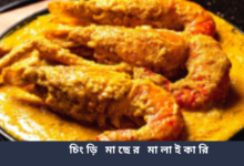 চিংড়ি মাছের মালাইকারি