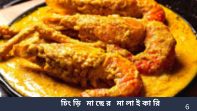 চিংড়ি মাছের মালাইকারি
