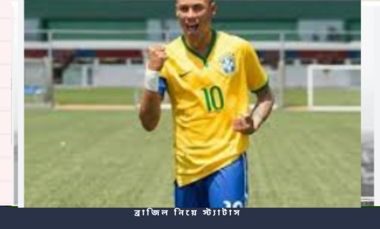 ব্রাজিল নিয়ে স্ট্যাটাস