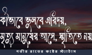 গভীর রাতের কষ্টের স্ট্যাটাস