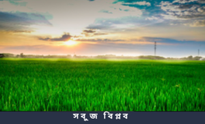 সবুজ বিপ্লব