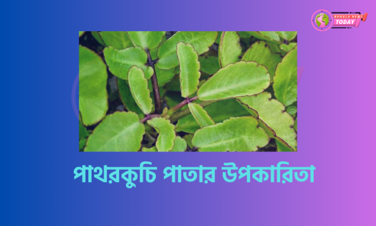 পাথরকুচি পাতার উপকারিতা 1