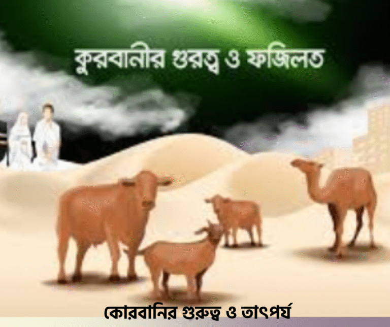 কোরবানির গুরুত্ব ও তাৎপর্য