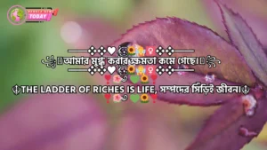 রোমান্টিক ফেসবুক বায়ো ২০২৫